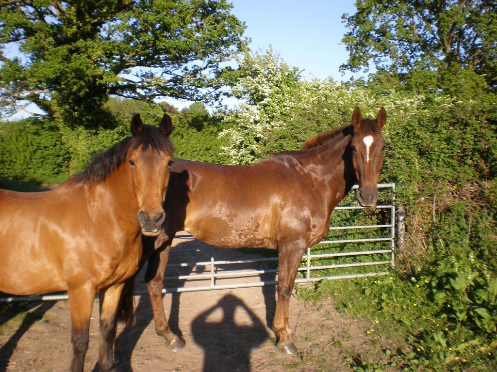 Austons Down Farm B&B Claverdon Екстер'єр фото